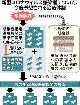 日本孕妇发帖求救：我发烧38度，呼吸困难，只能和肚子里的孩子一起等死了...（组图） - 11