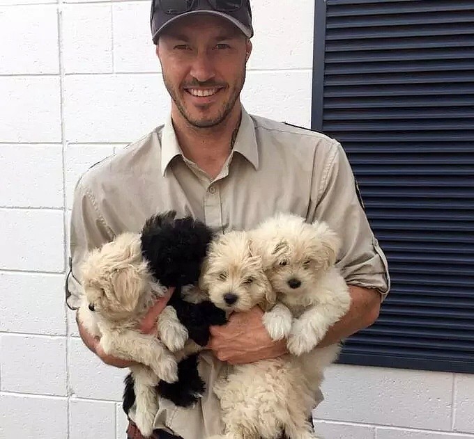 【宠物】澳洲小哥火了！他自称是“全世界最爱狗”的人，15年来救出1000只被虐待的狗！ - 5
