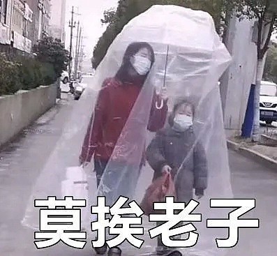 【爆笑】“不戴口罩你试试，试试就逝世” 中国民间的硬核防疫太野了哈哈哈哈哈哈（组图） - 20