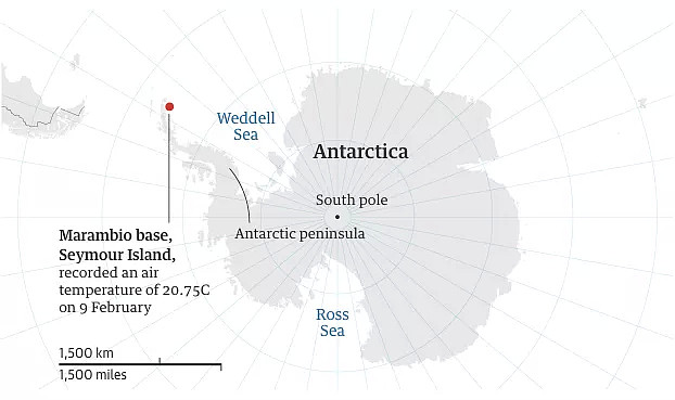 南极温度超过可怕的20度，企鹅数量锐减75%。今年对于地球也是地狱开局...（组图） - 11