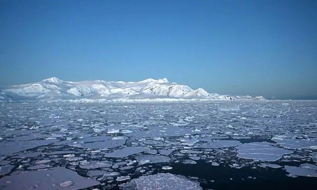 南极温度超过可怕的20度，企鹅数量锐减75%。今年对于地球也是地狱开局...（组图） - 33