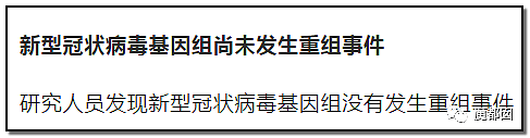 多国疫情爆发 毒源在哪？越来越多证据指向美国（组图） - 26