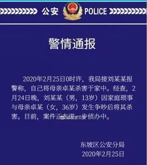 13岁少年杀母案：父亲早年去世，母亲独自抚养长大（图） - 1