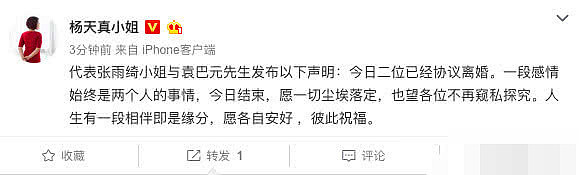 张雨绮疑回应与袁巴元离婚：天天活得生不如死，对自己的选择负责（组图） - 2