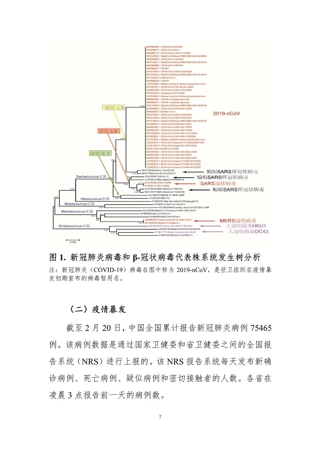 重磅！中国-世卫联合报告发布：新冠系动物源性病毒（组图） - 7