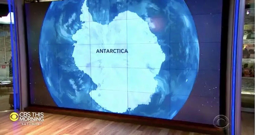 南极雪地上现出鲜血一幕，背后的真相，可怕且可悲...（组图） - 2