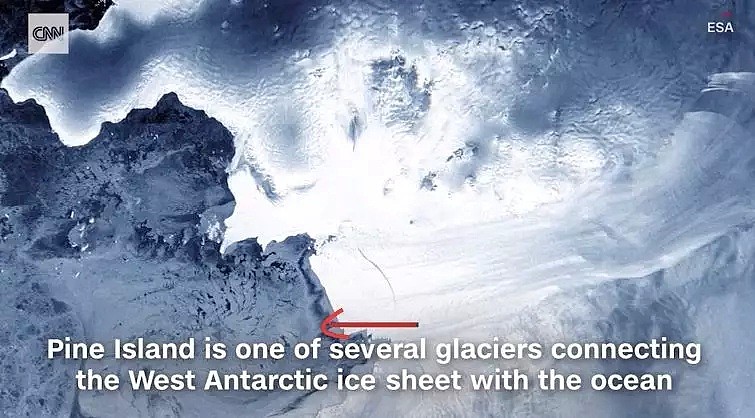 南极雪地上现出鲜血一幕，背后的真相，可怕且可悲...（组图） - 12
