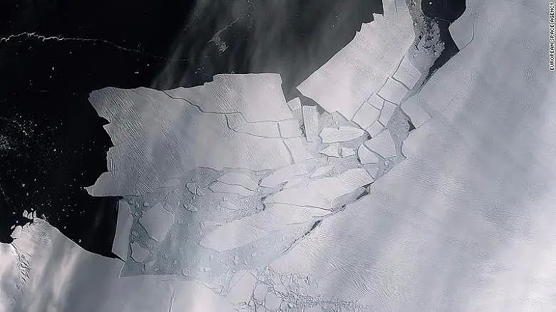 南极雪地上现出鲜血一幕，背后的真相，可怕且可悲...（组图） - 13