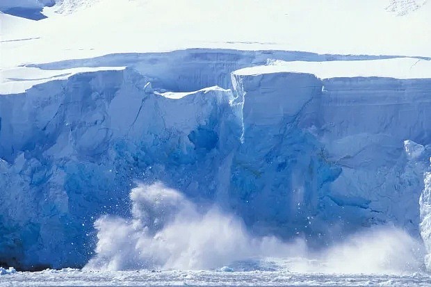 南极雪地上现出鲜血一幕，背后的真相，可怕且可悲...（组图） - 16