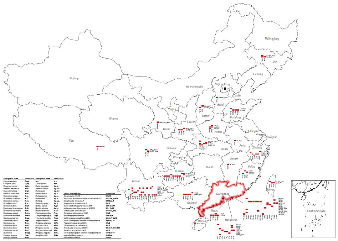 冠状病毒的暴发并非偶然！研究显示：病毒“溢出”现象或已悄然发生多年...（组图） - 9