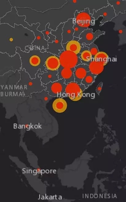 澳洲已出现人传人！这个地区却要大游行，4天150万人！各国抗疫行为太迷了（组图） - 32