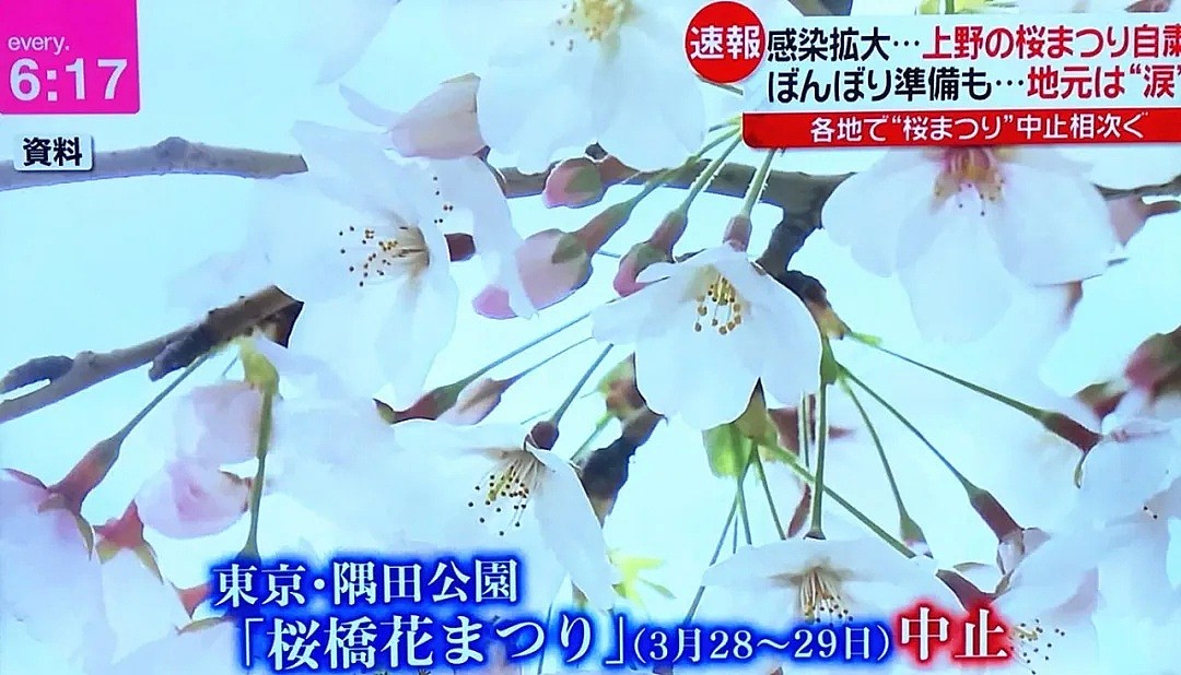 日本迎来“最惨樱花季”，感染者逼近1000人，而中国援助及时送到......（组图） - 15