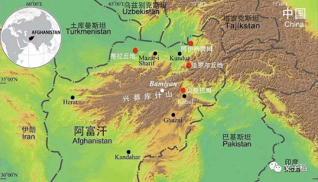 我们都被特朗普骗了：这才是美国的新冠疫情真相！（视频/组图） - 1