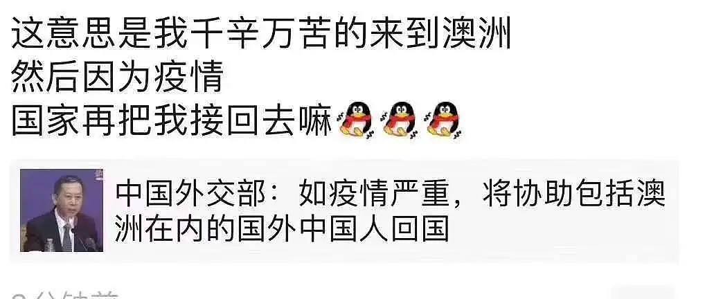 肠炎还是肺炎？超市厕纸被抢光！实拍悉尼人恐慌性囤货有多恐怖！华人都惊呆了...（组图） - 3