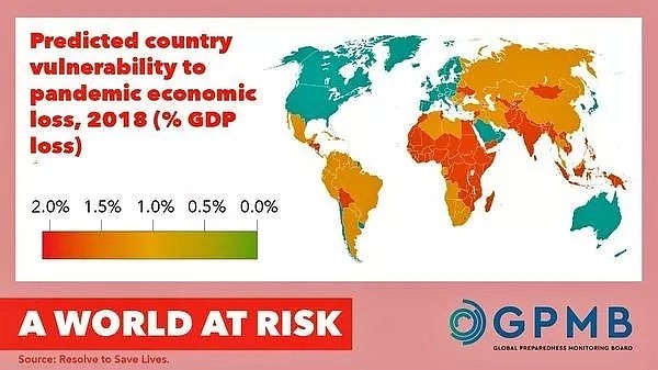 盖茨基金会：病毒的世界观是如何的（组图） - 7