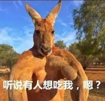 好气，又好笑！澳洲年度无解之谜：为啥囤厕纸？能吃，能杀毒，还是能辟邪......？ - 26