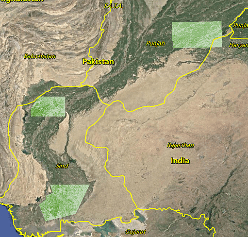 从太空看蝗虫：巴基斯坦蝗灾影响有多大？蝗群能否被卫星直接探测到？（组图） - 1
