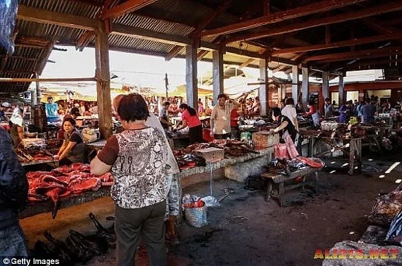 看完武汉海鲜市场，来印尼菜市场观光：可怕美食层出不穷！（组图） - 4