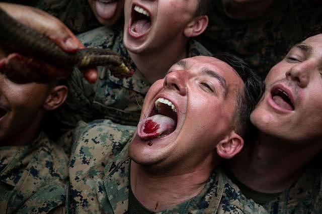 新冠肺炎肆虐之际，美国陆战队在泰国东南训练营依然生饮蛇血