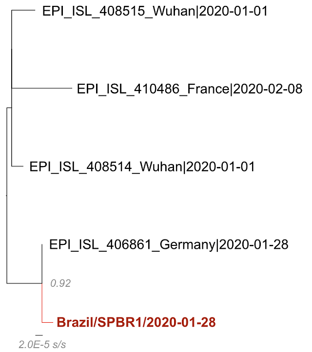 巴西首例新冠肺炎患者病毒基因出现3处突变，这说明什么？（组图） - 3