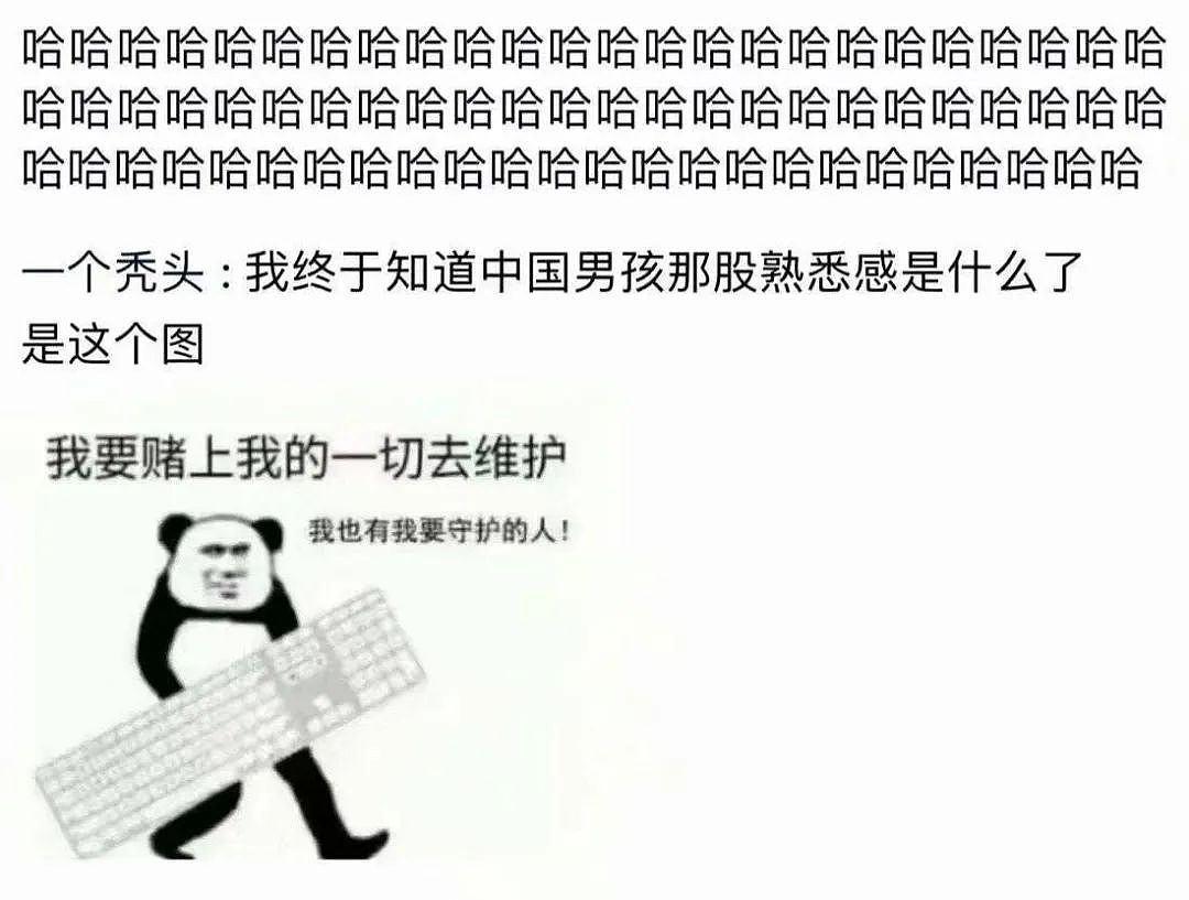 【爆笑】“我娶10个老婆来保护中国女孩！”网友：哈哈哈哈劝你醒醒…（组图） - 29