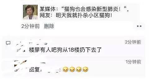 【宠物】香港确证首例狗感染新冠病毒？呵呵，真相在这里.. - 9