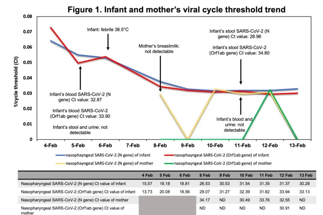 新加坡6个月大婴儿体内新冠病毒含量超高，却不治而愈（组图） - 7