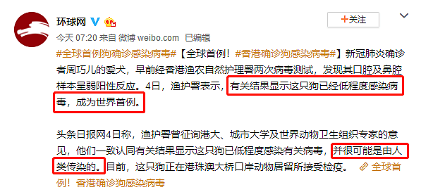 全球首例狗狗确诊感染，最可怕的事情来了：人类，求求你别再造孽了！（组图） - 2