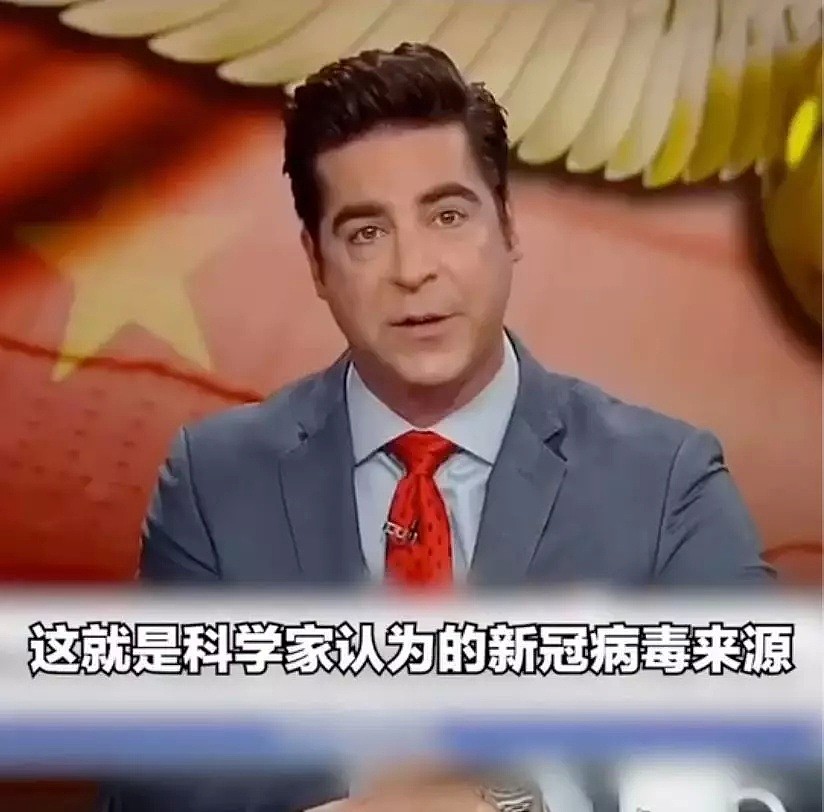 美国主持人要中国人道歉，外交部正式回应！全澳确诊达60例，留学生被迫花$2万回澳！新增对韩禁令，中伊延长… - 13