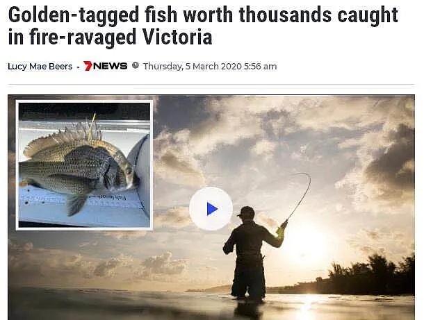 快看！澳洲政府免费发福利，钓一条鱼就奖励$1万！已有3人获得（组图） - 3