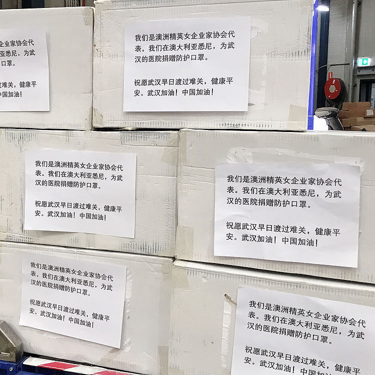 澳中精英女企业家协会向中国捐赠冠状病毒抗疫救援物资 - 10
