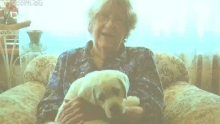 【宠物】87岁澳洲老太坐拥千万资产，家人一无所知！去世后却都留给了它们.. - 6