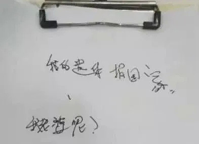 【宠物】87岁澳洲老太坐拥千万资产，家人一无所知！去世后却都留给了它们.. - 11