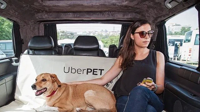 【宠物】刚刚，澳洲UberPet上线了！只要6刀，宠物也可以带上车！ - 9