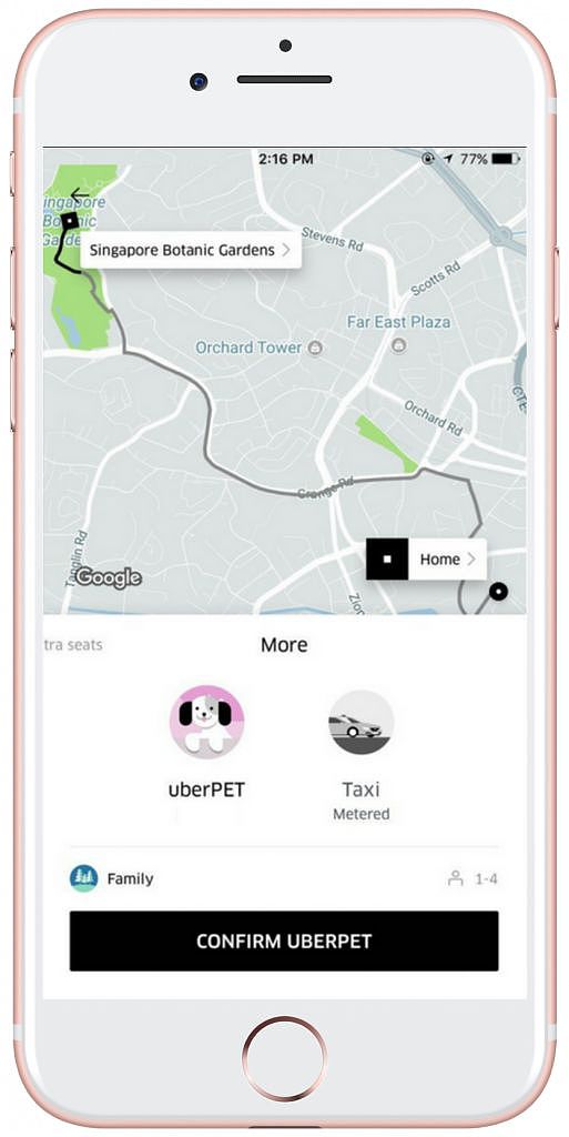 【宠物】刚刚，澳洲UberPet上线了！只要6刀，宠物也可以带上车！ - 17