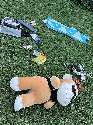 包里装满了棒棒糖和毛绒玩具！悉尼华人区“恋童癖”被好心路人制服（视频/组图） - 3