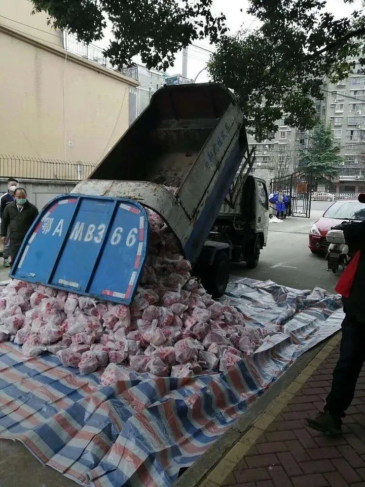 用垃圾车给武汉市民市民送肉，这不是一句工作失误就能解释的（组图） - 1