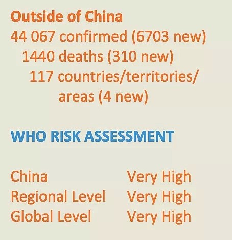 疫情严重地区华人能回国吗？中国驻意大利大使：不流动是最大的安全（组图） - 1