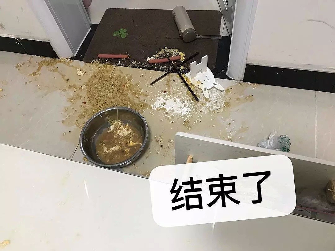 【爆笑】疫情期间宅家失败厨艺大赏，各种做饭翻车现场，哈哈哈哈哈沙雕网友们真是太优秀了！（组图） - 25