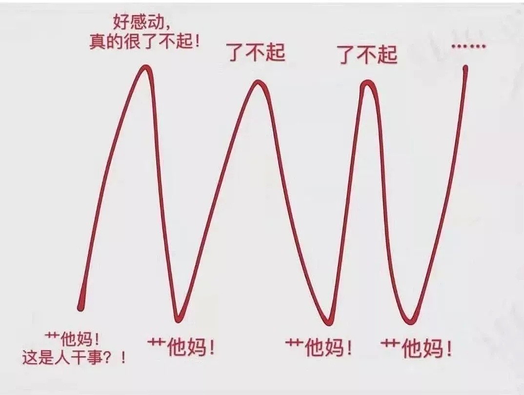 旅欧华人文章上热搜 描述欧洲疫情爆发 感叹雪崩后的欧洲各国！ - 12