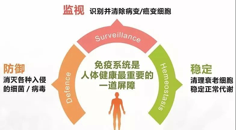 注射这个东西能预防新冠病毒传染？！澳人注意，不是你想用就能用（组图） - 2