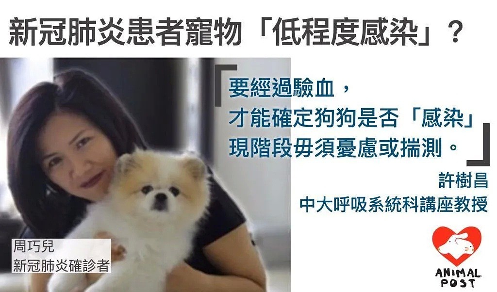 【宠物】最新：香港狗狗血清检测呈阴性！造谣的人该道歉了！ - 1