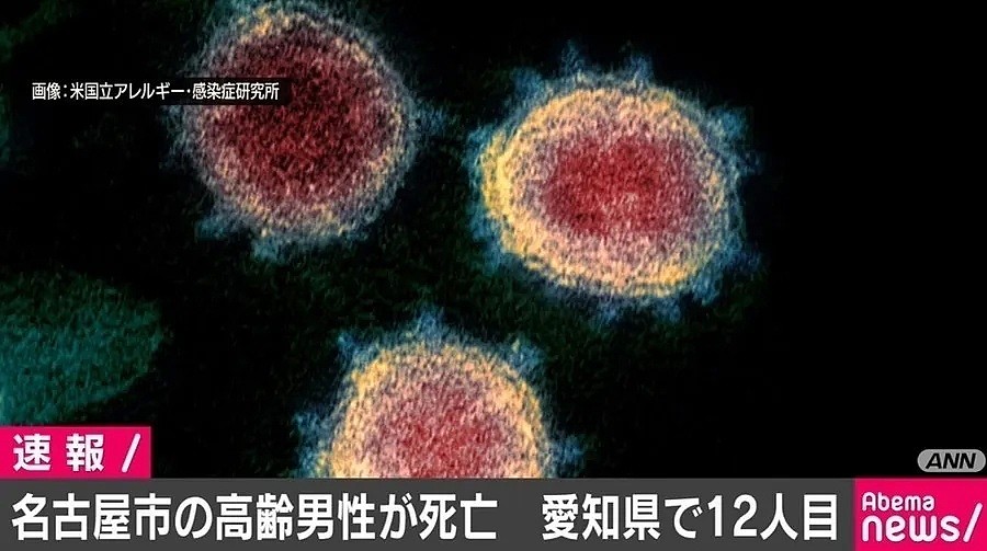 今天，日本“口罩禁令”正式生效，高价倒卖将判刑1年或罚款100万！（组图） - 4