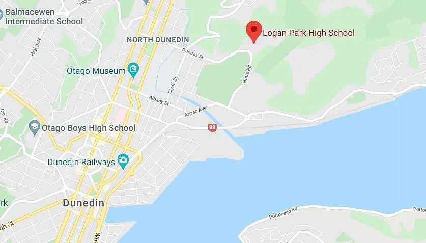 新西兰首所学校被封！警察抓游客现场曝光，超市再现抢购苗头（组图） - 8