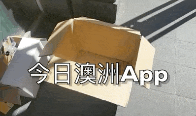 Mar-19-2020 11-46-52.gif,0