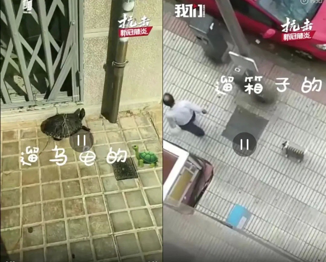 一句话就能激怒意大利人，女人听了都想打死你！（视频/组图） - 19