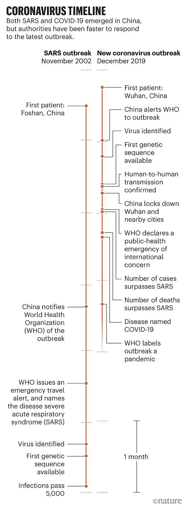 21个国家377个全基因组分析：探究新冠病毒起源，重大突变及进化关系（组图） - 4