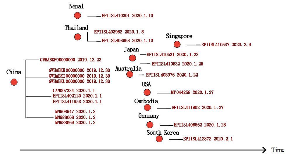 21个国家377个全基因组分析：探究新冠病毒起源，重大突变及进化关系（组图） - 12