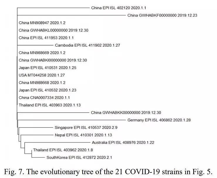 21个国家377个全基因组分析：探究新冠病毒起源，重大突变及进化关系（组图） - 14