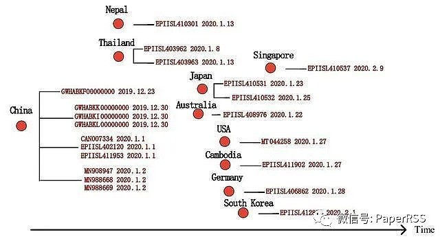 21国基因分析结果公布，新冠病毒来源接近真相（组图） - 4